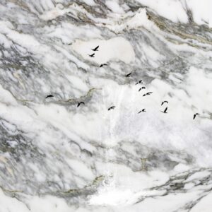 Digital Marble Design - DMD 15