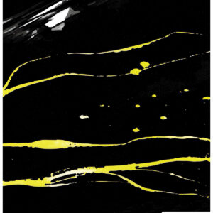 Deco Star PVC Panels - DS 931