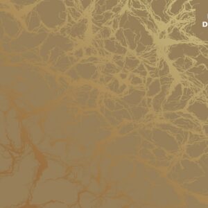 Digital Marble Design - DMD 41