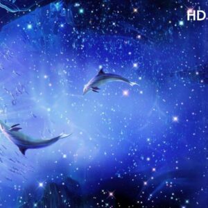 3D UV Marble Sheet - HD176