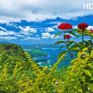 3D UV Marble Sheet - HD203