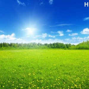 3D UV Marble Sheet - HD217